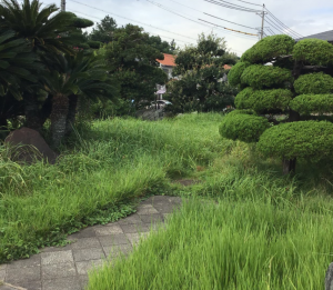 去年に引き続き今年もお世話になります。